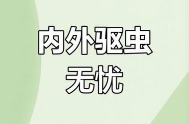 远离内部寄生虫困扰，就从内部寄生虫官方网站开始！-H游盘