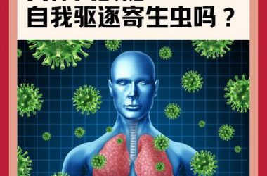 内部寄生虫官网怎么找？官方认证渠道最可靠！-H游盘