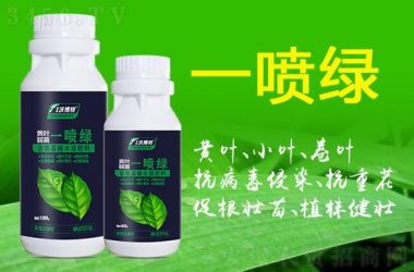 小绿山官网有什么好东西？独家产品和活动不容错过！-H游盘