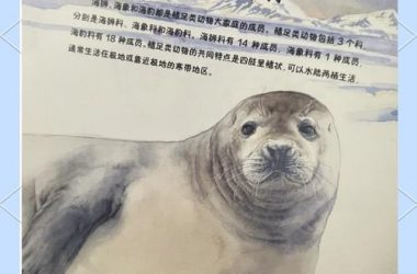 想了解海豹社30部合集最新版本是多少？这里有你想知道的答案！-H游盘