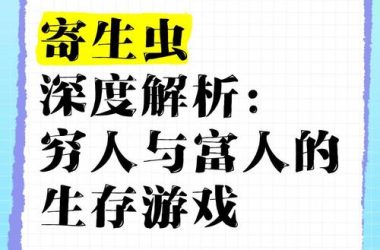 内部寄生虫游戏介绍，这种类型的游戏到底讲了啥？-H游盘