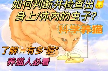 内部寄生虫最新研究有哪些？(快来看看这些新发现)-H游盘
